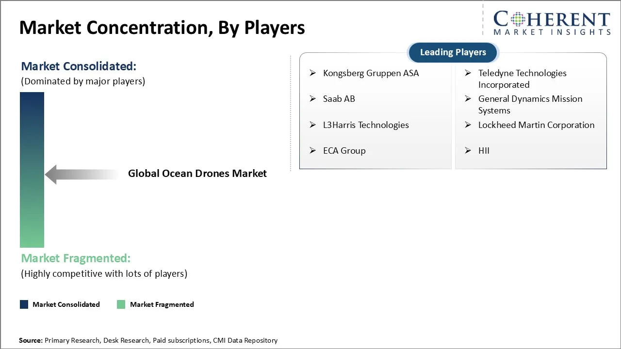 Ocean Drones Market Concentration By Players